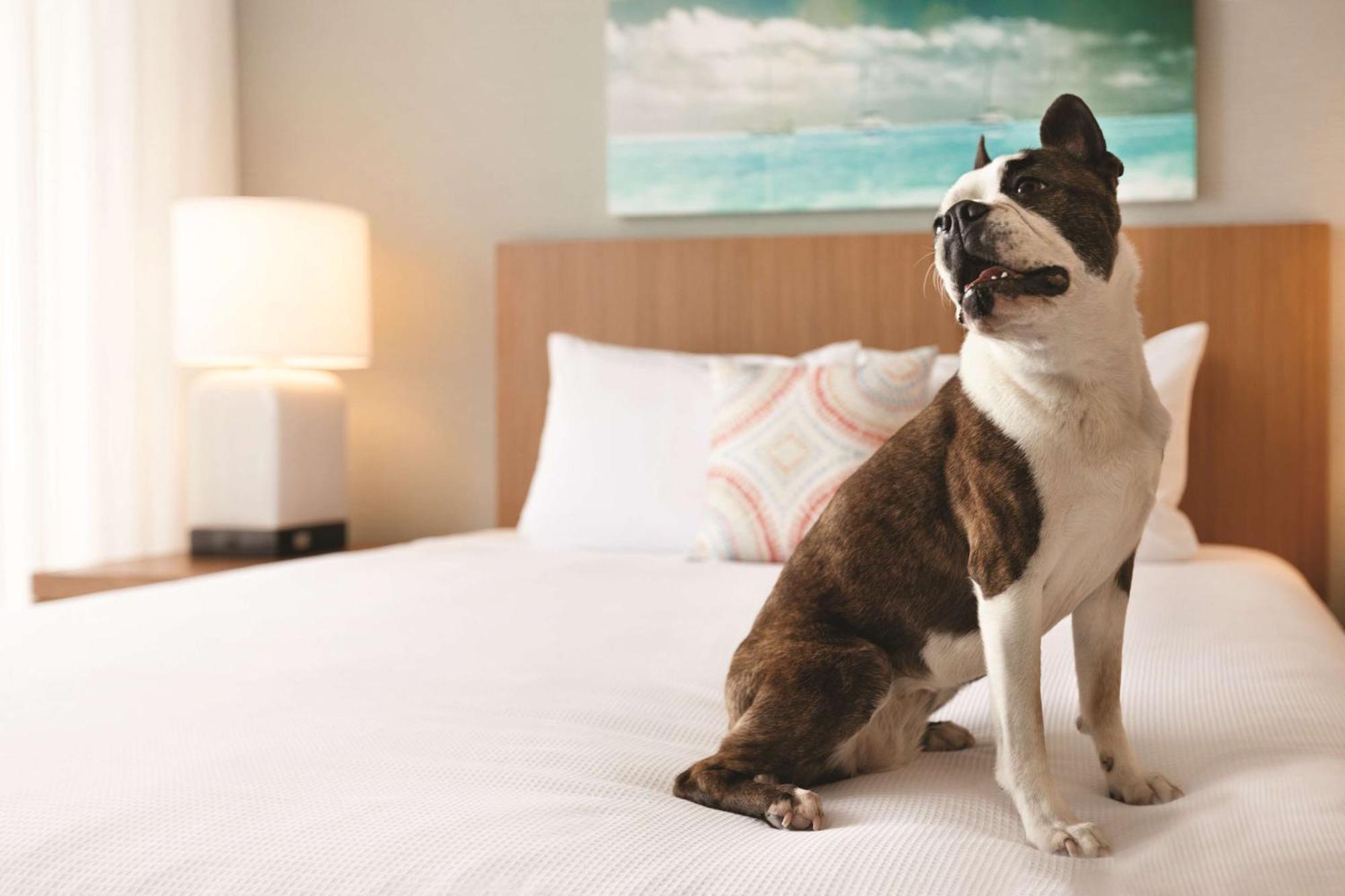 Hotel Hyatt House Virginia / Oceanfront 3*